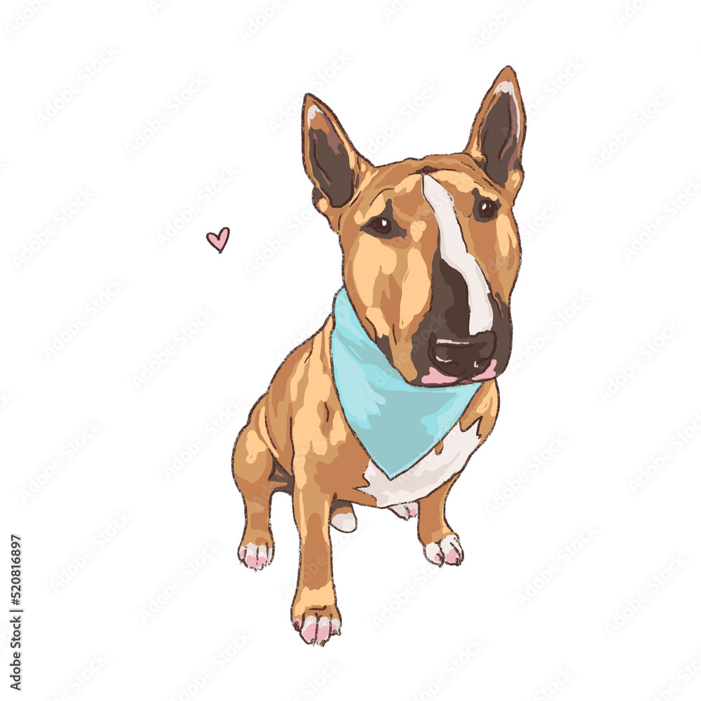 bull terrier sitting illustration - digital art of domestic purebred dogs - staffordshire pit bull terrier
