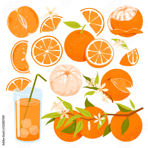 Orange set vector illustration. Cartoon isolated whole citrus fruit, with or without peel, cut into juicy slices and peeled, sweet vitamin juice glass with straw, orange plant with tropical flower