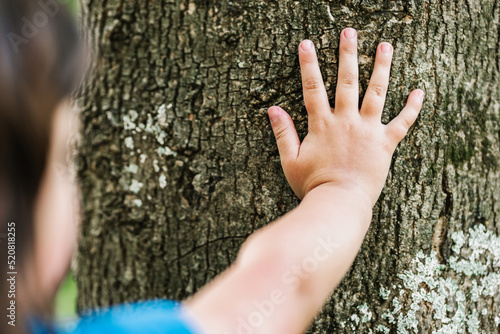 Crop unrecognizable child touching tree trunk photo