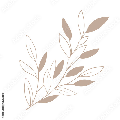 Herb sprig of forest plant line art. simple icon plant blade of grass