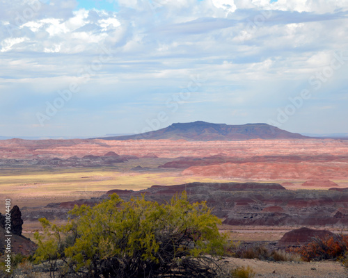 Painted desert landscape