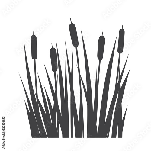 silhouette of cattail, reed, bulrush plant - vector illustration