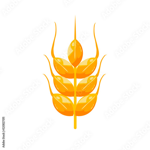 Golden wheat ear, ripe cereal grain spikelet, agriculture vector icon