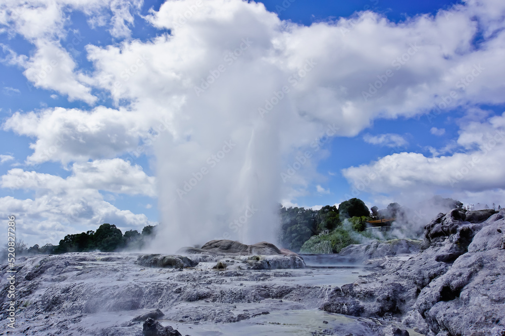Geyser eruptions in Whakarewarewa geothermal area Rotorua New Zealand 