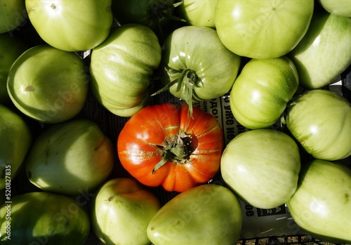 vegetables on the market