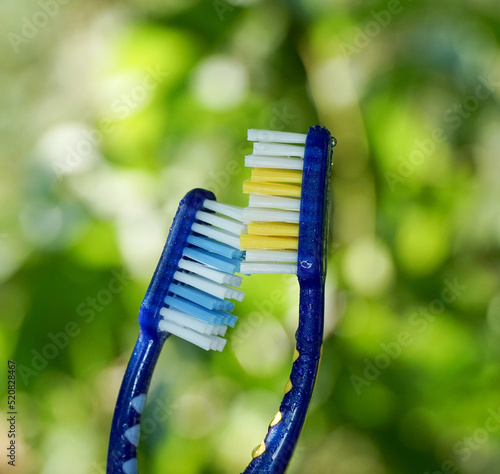 image of two toothbrush against natural bokeh, morning shot