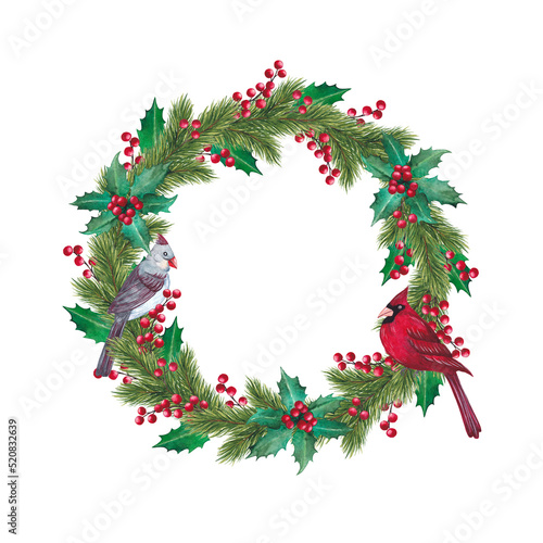 Decorative Christmas wreath with pine branches, colorful cardinal birds and mistletoe. Watercolor round border.