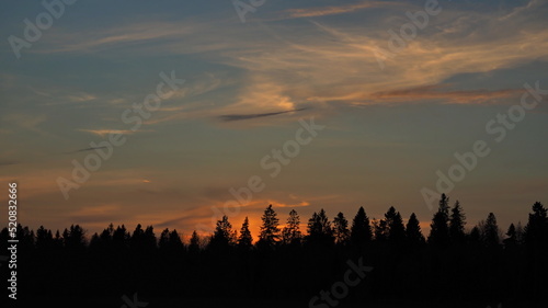 Rural landscape. Colorful sunset on the background of trees. Leningrad region, Russia.