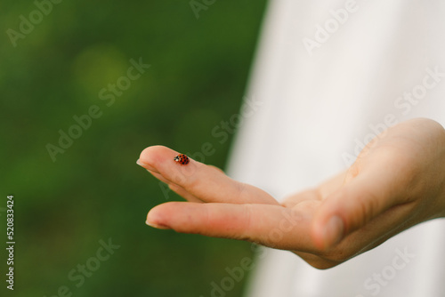 Teen girl on the background of a green field looking at a ladybug on her finger © Анастасія Стягайло