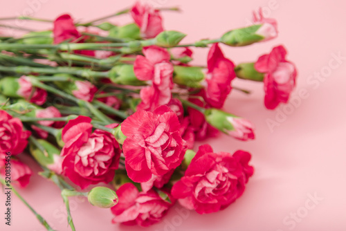 Red mini carnation and gift box. Concept of giving present at mother's day as surprise, flat lay, top view On pink Background
