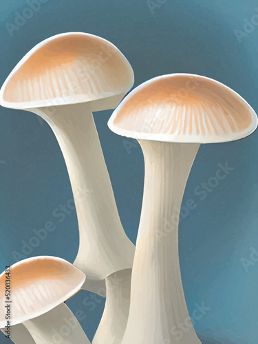 mushrooms on a dark background