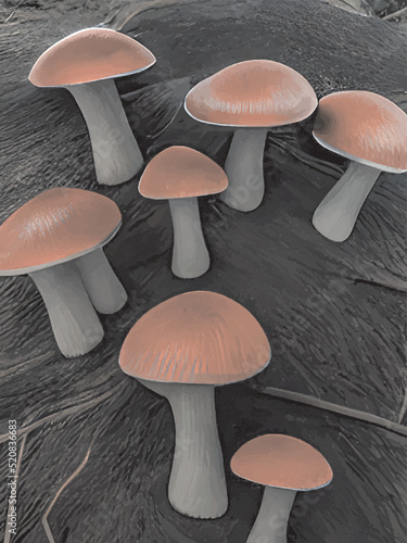 mushrooms on a dark background