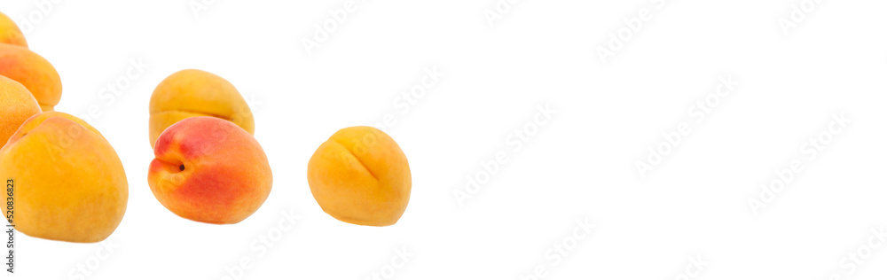 Beautiful apricots on a white texture. Isolated ripe peaches. Juicy white plums on a light background. Fruit growing concept. Beautiful apricots on a white texture. Isolated ripe peaches. Juicy white plums on a light background. Fruit growing concept.