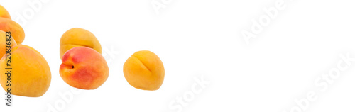 Beautiful apricots on a white texture. Isolated ripe peaches. Juicy white plums on a light background. Fruit growing concept.