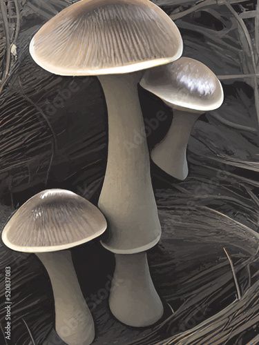 mushrooms on a dark background