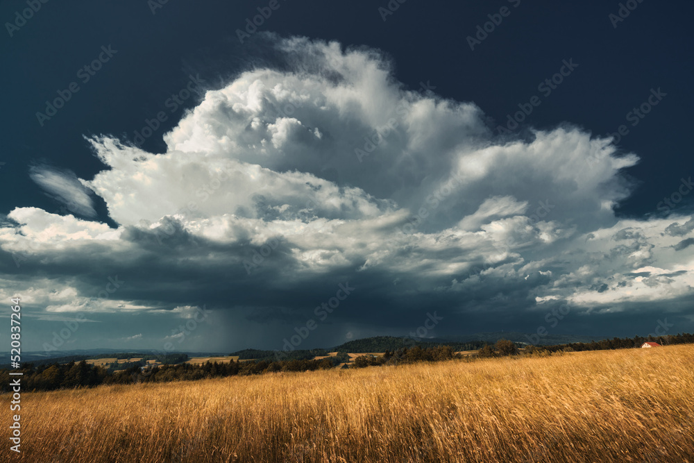 Incoming thundestorm above the grain field. Incoming thundestorm above the grain field.