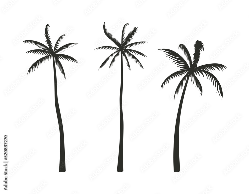 Fototapeta premium Set of silhouettes of palm trees in a hand-drawn style.