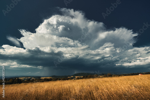 Incoming thundestorm above the grain field.