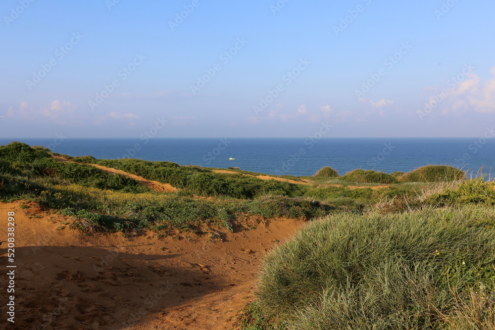 Natural landscape in northern Israel.