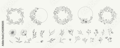 Set of floral compositions. Botanical arrangement of leaves branches and blooming flowers. Vector ornamental herbs in boutonniere and bouquet. Wedding design