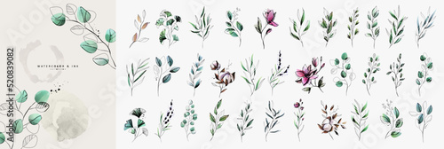 Set of luxury green leaves and flowers elements in watercolor and ink style. Aquarelle and line branches and blooming. Vector isolated on white background for Invitation, greeting card