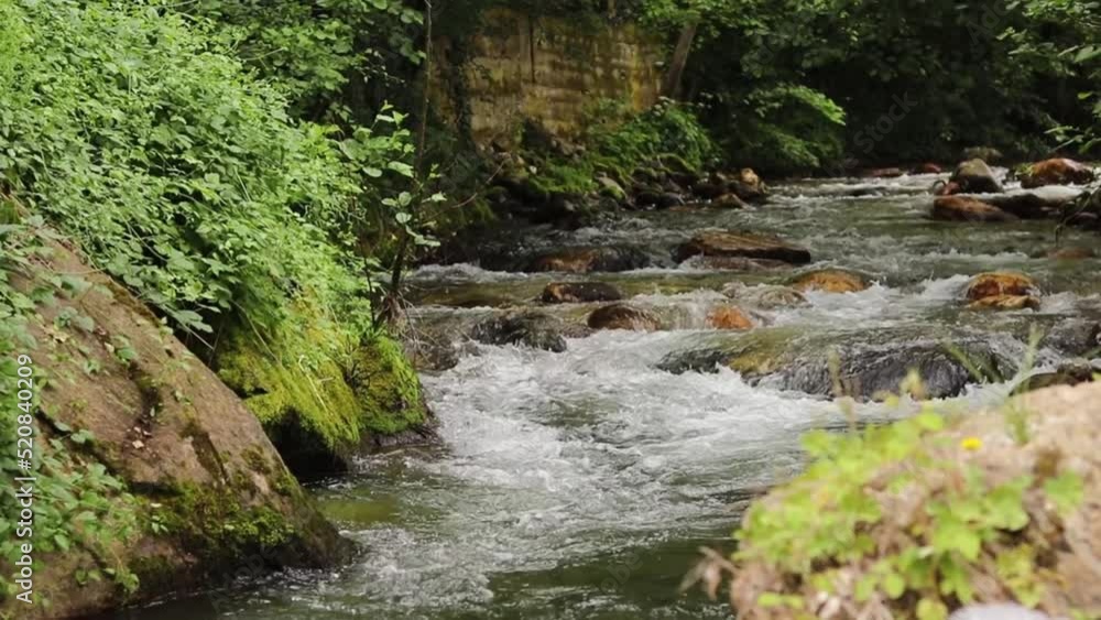 River running in a forest. Fresh and clean water flows through rocks and green trees on mountain. River running in a forest. Fresh and clean water flows through rocks and green trees on mountain.