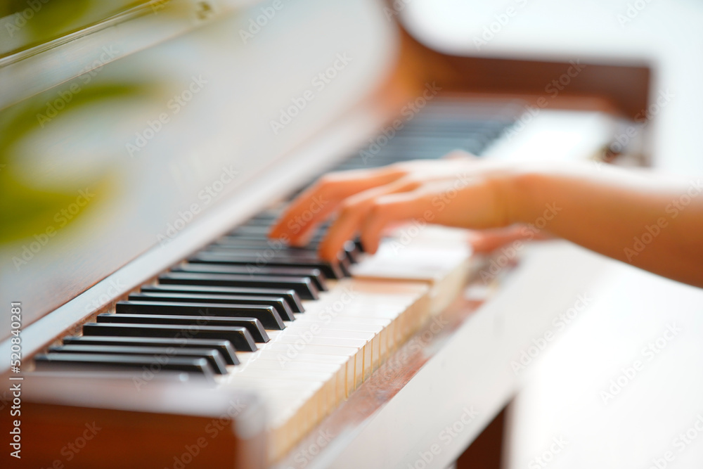 Fototapeta premium ピアノの演奏 