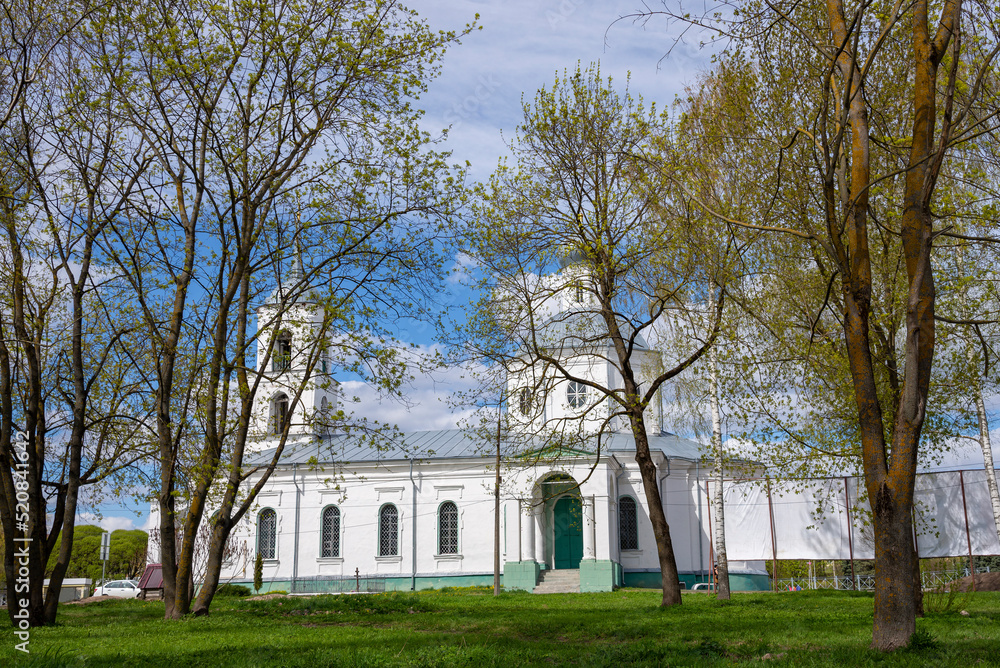View of the Trinity Cathedral through the spring foliage. Ostrov, Pskov region
