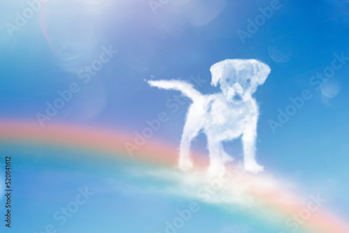 Angel dog walking on the rainbow. Dog clouds shape.