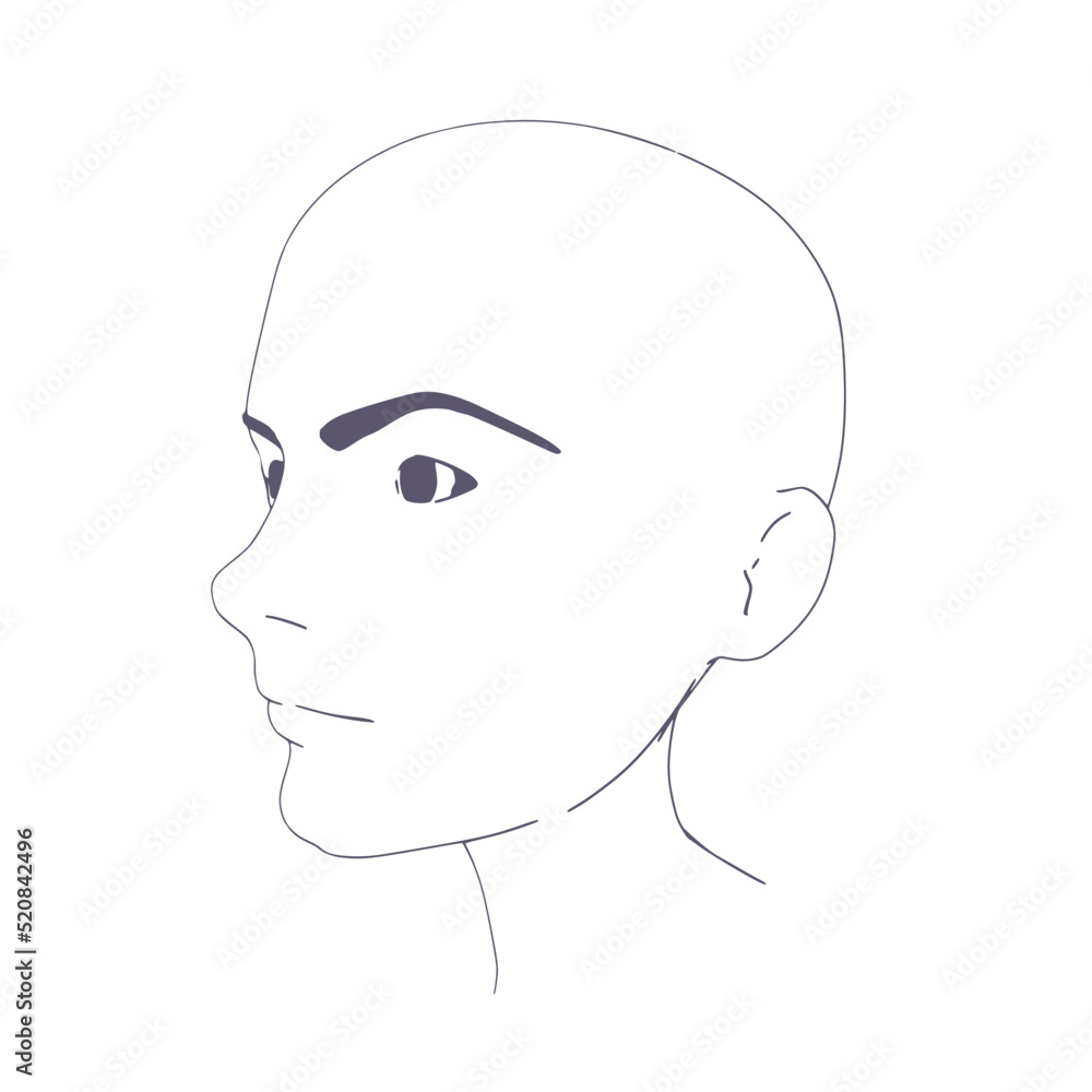 Young woman face side view. Elegant silhouette of a female head. Young woman face side view. Elegant silhouette of a female head.
