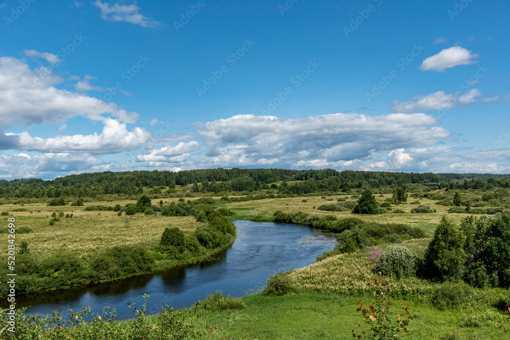 Fototapeta premium landscape with river
