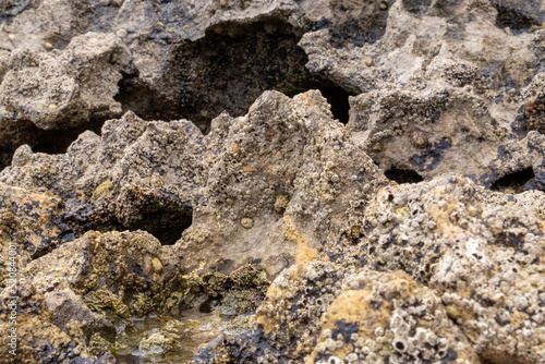 rocks near the beach with a great variety of veins of different colors and minerals, live and natural colored rocks