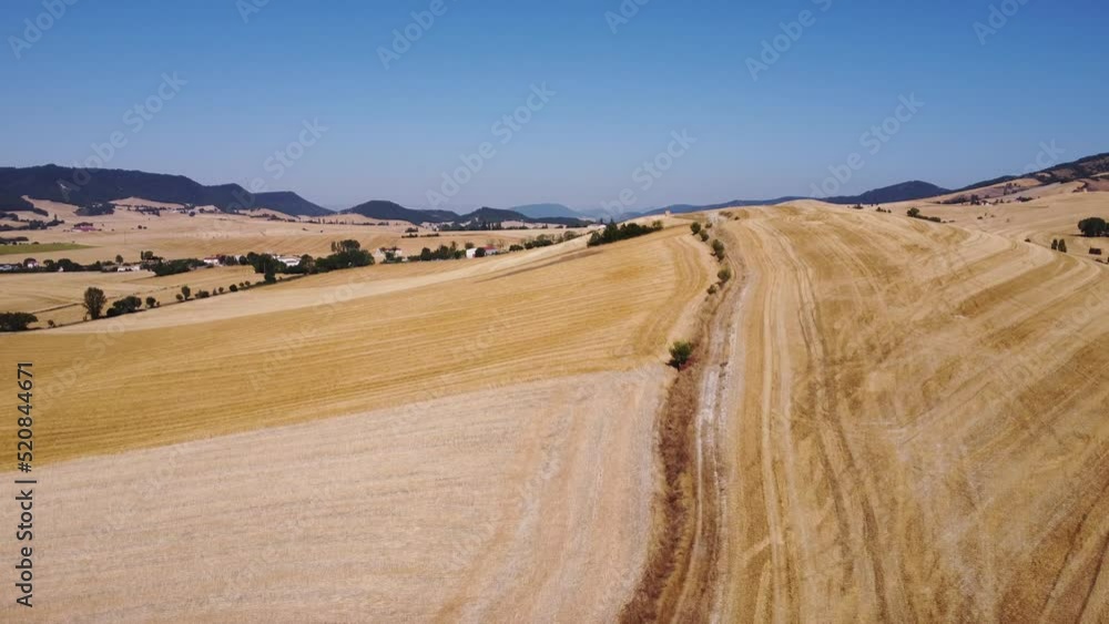 Large extensions of harvested cereal fields. Food crisis Large extensions of harvested cereal fields. Food crisis