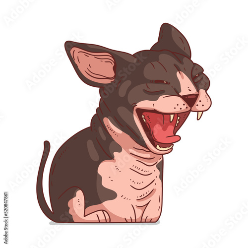 A Sphynx Cat, isolated vector illustration. Cute cartoon picture for children of a yawning hairless cat. Drawn cat sticker. Simple drawing of a hissing sphynx on white background. A growling cat.