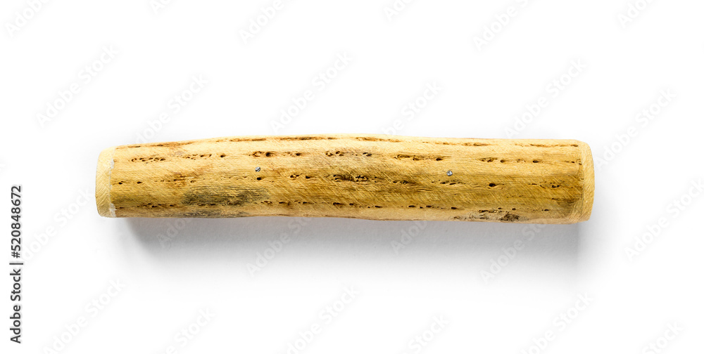 Traditional rain stick made of cactus wood isolated on white Traditional rain stick made of cactus wood isolated on white