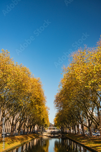 Wallpaper Mural autumn in the park and canal Torontodigital.ca