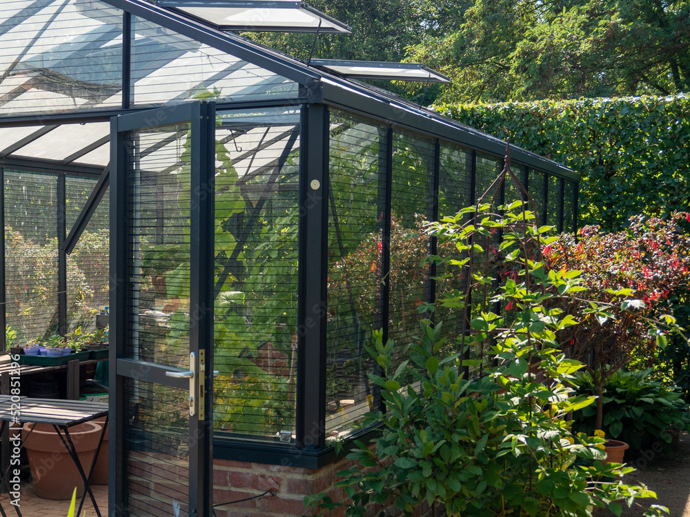 Fototapeta premium The interior of a home greenhouse for growing vegetables.