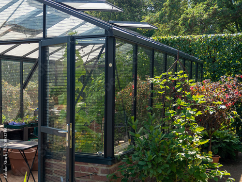 Wallpaper Mural The interior of a home greenhouse for growing vegetables. Torontodigital.ca