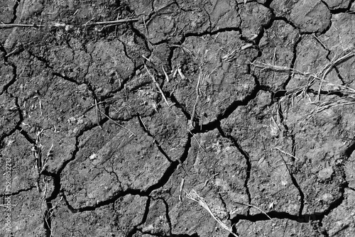 Cracked Mud during a drought in Africa