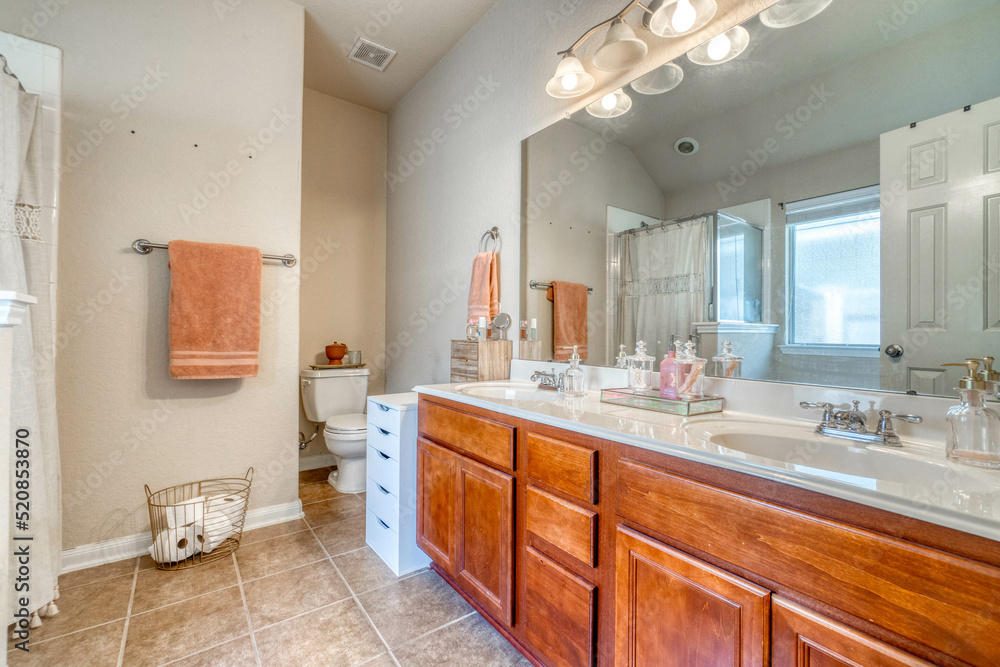 Fototapeta premium luxury bathroom