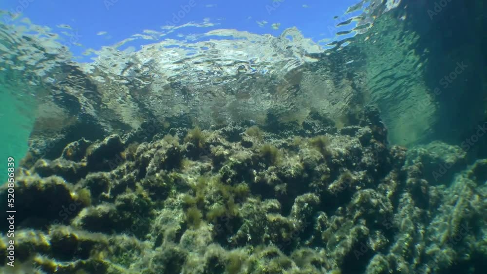 Snorkeling, the camera rises smoothly along a rocky underwater slope and emerges above the surface. Snorkeling, the camera rises smoothly along a rocky underwater slope and emerges above the surface.