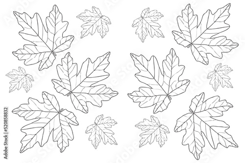 Maple Autumn Leaf is designed for cards  coloring  tattoo  clothing and cloth printing and you can use it in various occasions.