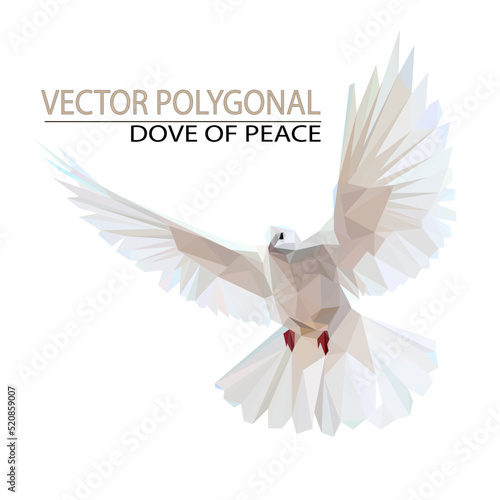 
Polygonal dove of peace