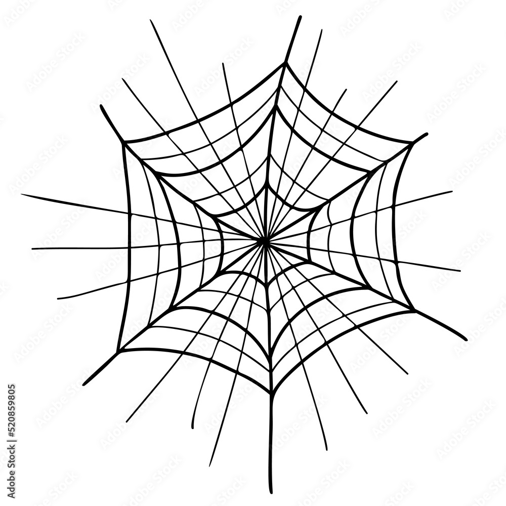 Obraz premium Spiderweb. Halloween cobweb. Close up. Linear hand drawing. Vector illustration