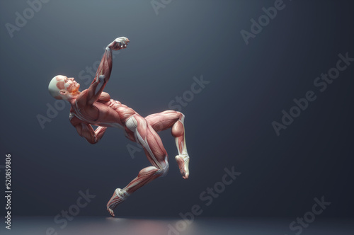 Canvas Print Male muscular system posing on background
