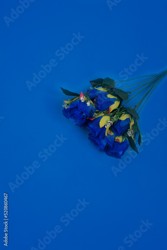 blue rose flower on a blue background- wallpaper © frederick