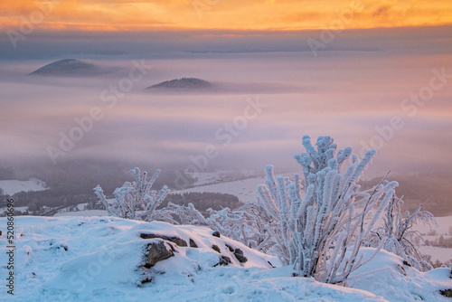 winter dawn on top of the Lusatian mountains