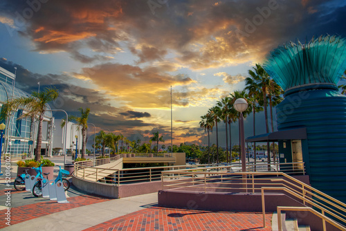 Canvas Print a gorgeous summer landscape at the Long Beach Convention Center with tall lush g
