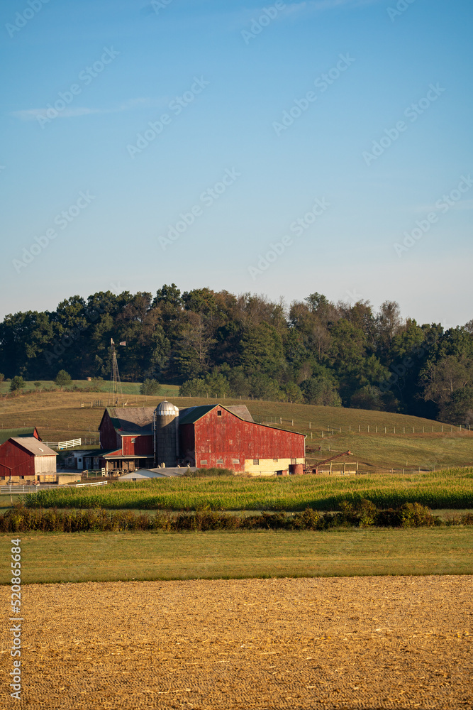 Amish farm in the wooded countryside of Holmes County, Ohio on a sunny day Amish farm in the wooded countryside of Holmes County, Ohio on a sunny day