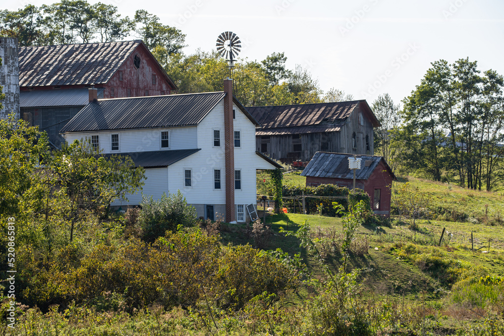 Amish homestead on a wooded hillside in Holmes County, Ohio